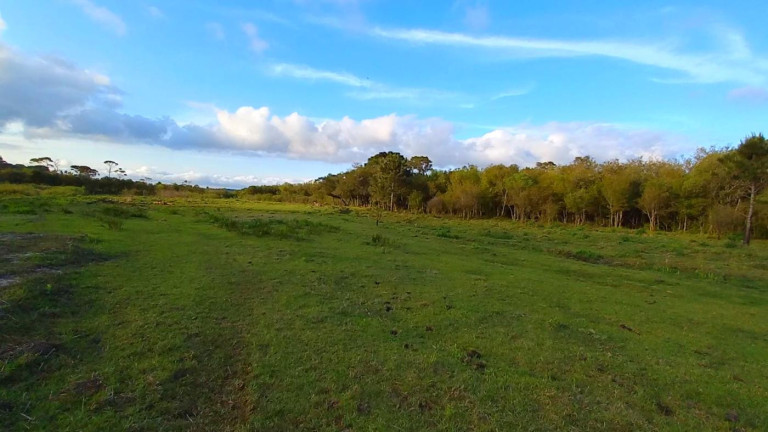 Imagem Imóvel à Venda, 32.800 m² em Ambrósio - Tijucas Do Sul