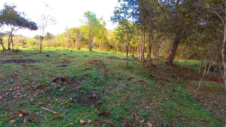 Imagem Imóvel à Venda, 32.800 m² em Ambrósio - Tijucas Do Sul