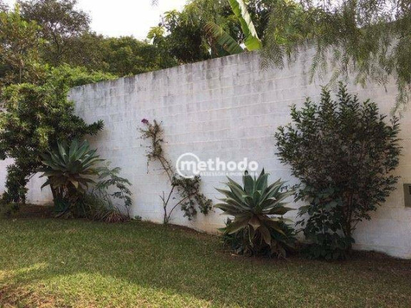 Imagem Chácara com 3 Quartos à Venda, 400 m² em Jardim Monte Belo - Campinas Imagem Chácara com 3 Quartos à Venda, 400 m² em Jardim Monte Belo - Campinas