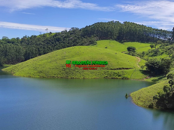 Imagem Chácara à Venda, 20.000 m² em Centro - Paraibuna