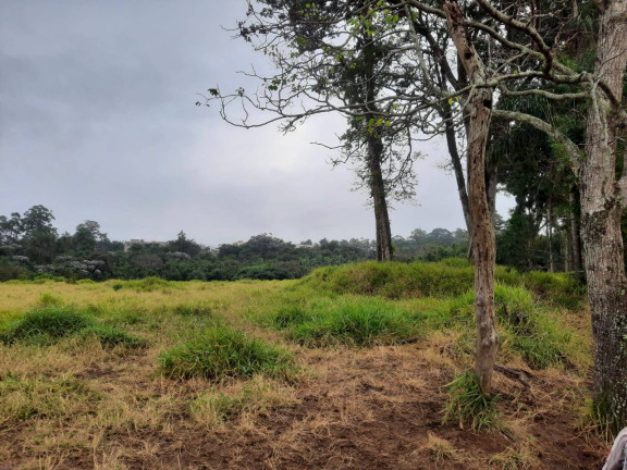 Imagem Terreno à Venda, 23 m² em Curitibanos - Bragança Paulista Imagem Terreno à Venda, 23 m² em Curitibanos - Bragança Paulista