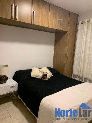 Imagem Apartamento com 2 Quartos à Venda, 55 m² em Jardim Maristela - São Paulo Imagem Apartamento com 2 Quartos à Venda, 55 m² em Jardim Maristela - São Paulo