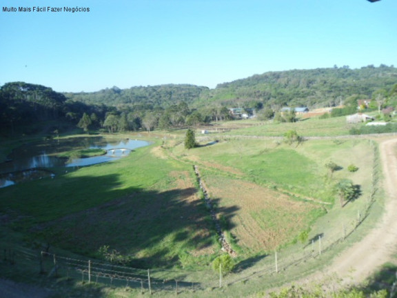 Terreno à Venda, 14 m² em Morro Korb - Nova Petrópolis