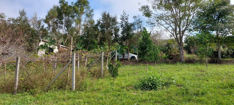 Imagem Chácara com 2 Quartos à Venda, 1 m² em Bateias - Campo Largo