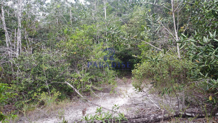 Imagem Fazenda à Venda, 20.000 m² em Barra Do Pojuca - Camaçari Imagem Fazenda à Venda, 20.000 m² em Barra Do Pojuca - Camaçari