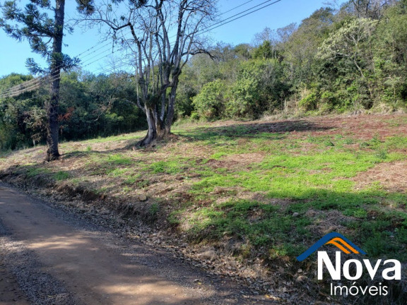 Imagem Imóvel à Venda, 11.918 m² em Linha Araripe - Nova Petrópolis