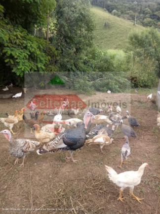 Imagem Chácara com 4 Quartos à Venda, 384 m² em Santa Luzia Rural - Taubaté