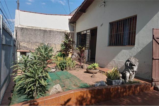 Imagem Imóvel com 3 Quartos à Venda,  em Vila Cruzeiro - São Paulo