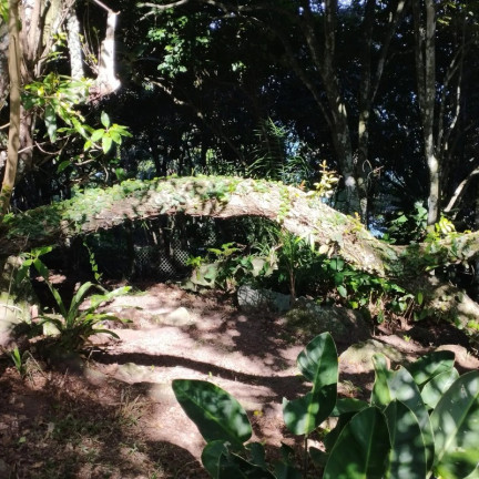 Imagem Terreno à Venda, em Praia Do Estaleirinho - Balneário Camboriú Imagem Terreno à Venda, em Praia Do Estaleirinho - Balneário Camboriú