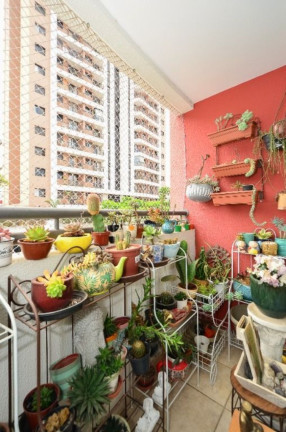 Imagem Imóvel com 2 Quartos à Venda, 54 m² em Chácara Santo Antônio (zona Sul) - São Paulo Imagem Imóvel com 2 Quartos à Venda, 54 m² em Chácara Santo Antônio (zona Sul) - São Paulo