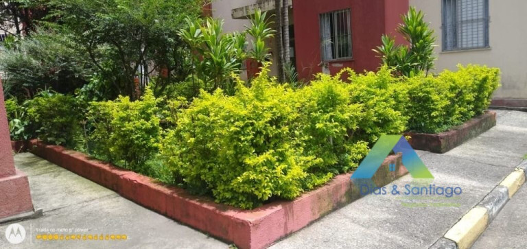 Imagem Apartamento com 2 Quartos à Venda, 53 m² em Vila Baeta Neves - São Bernardo Do Campo Imagem Apartamento com 2 Quartos à Venda, 53 m² em Vila Baeta Neves - São Bernardo Do Campo