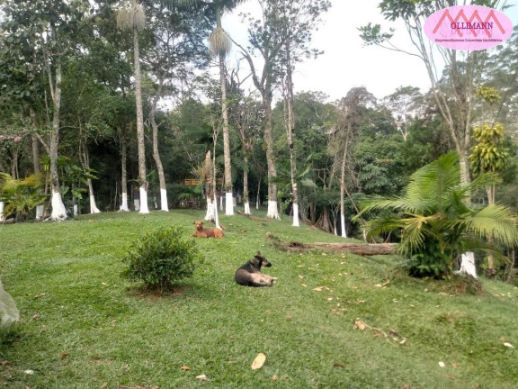 Imagem Imóvel com 3 Quartos à Venda, 34 m² em Tatetos - São Bernardo Do Campo Imagem Imóvel com 3 Quartos à Venda, 34 m² em Tatetos - São Bernardo Do Campo