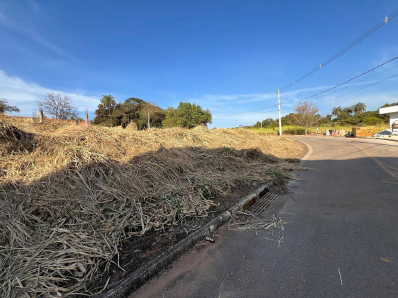 Imagem Chácara à Venda, 1 m² em Ouro Velho - Igarapé