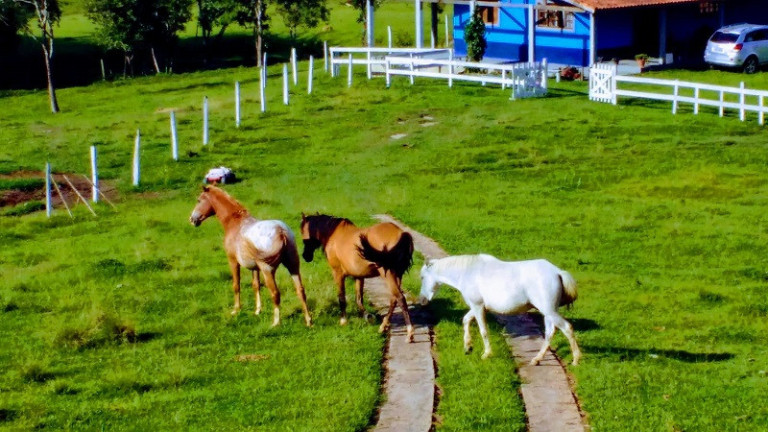 Imagem Imóvel à Venda, em Jacareí Imagem Imóvel à Venda, em Jacareí