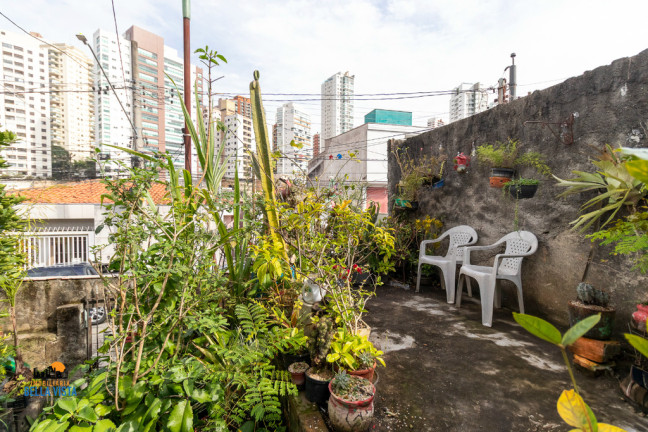 Imagem Casa com 2 Quartos à Venda, em Jardim Vila Mariana - São Paulo Imagem Casa com 2 Quartos à Venda, em Jardim Vila Mariana - São Paulo