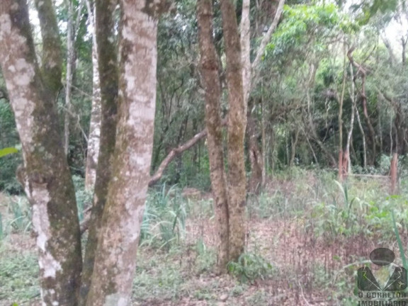 Imagem Imóvel com 2 Quartos à Venda, 33.000 m² em Aranha (brumadinho) - Brumadinho