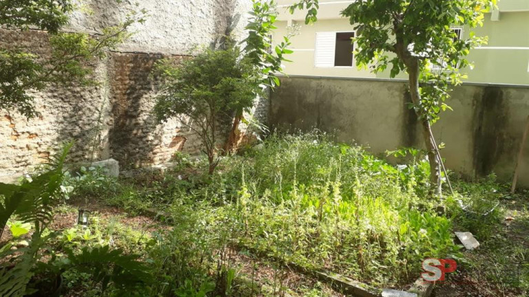 Imagem Terreno à Venda, 300 m² em Cidade Patriarca - São Paulo Imagem Terreno à Venda, 300 m² em Cidade Patriarca - São Paulo