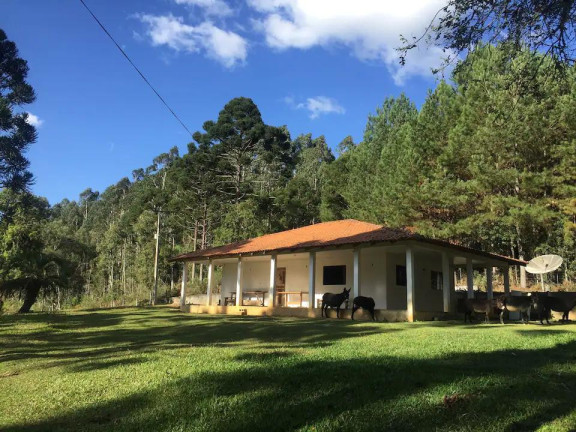 Imagem Imóvel com 2 Quartos à Venda, 52.400 m² em Centro - Rio Negro