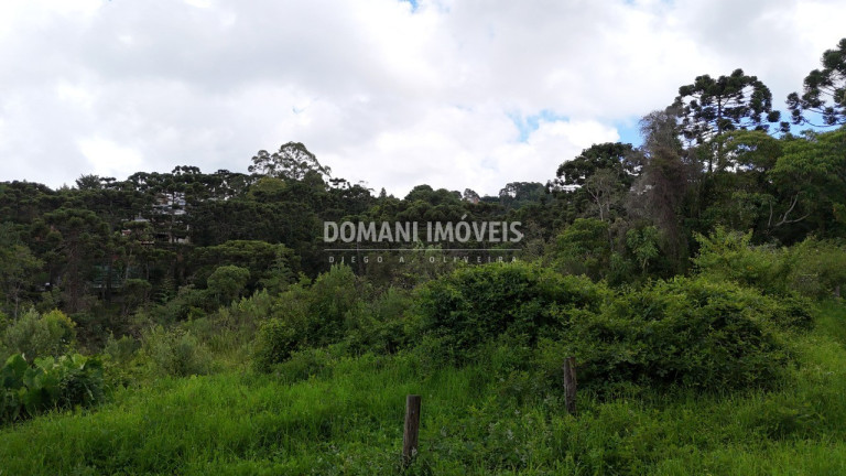 Imagem Terreno à Venda, 1.590 m² em Região De Capivari - Campos Do Jordão