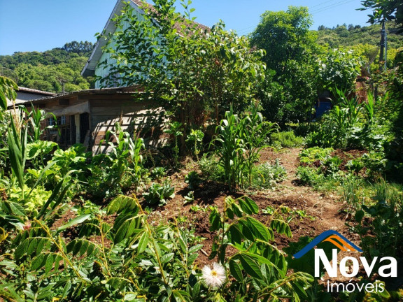 Imagem Imóvel com 3 Quartos à Venda, 85 m² em Piá - Nova Petrópolis