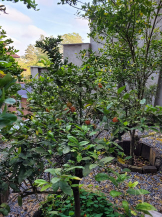 Imagem Casa com 3 Quartos à Venda, 460 m² em Arujá Country Club - Arujá