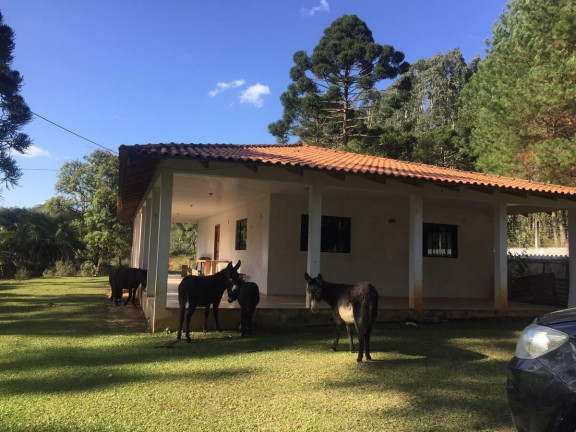 Imagem Imóvel com 2 Quartos à Venda, 52.400 m² em Centro - Rio Negro