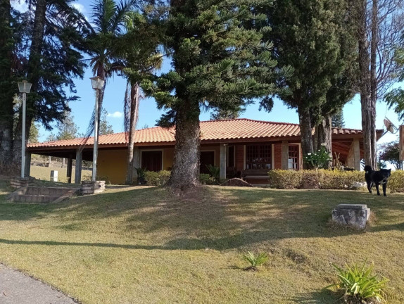 Imagem Chácara com 4 Quartos à Venda, 12.000 m² em Ortizes - Piedade
