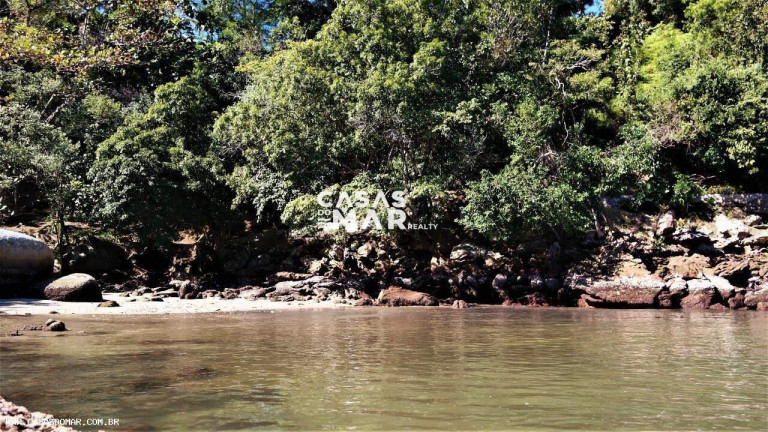 Imagem Imóvel com 5 Quartos à Venda, 5.000 m² em Ilha Do Japão - Angra Dos Reis