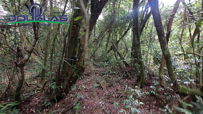 Imagem Chácara à Venda, 20.000 m² em águas Claras - Viamão Imagem Chácara à Venda, 20.000 m² em águas Claras - Viamão