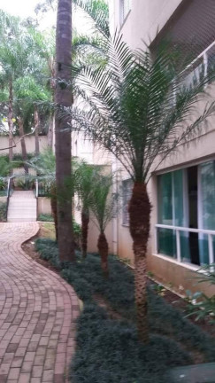 Imagem Apartamento com 2 Quartos à Venda, 59 m² em Paraisópolis - São Paulo