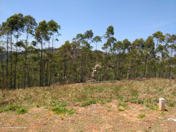 Imagem Terreno à Venda, 125 m² em Di Napoli - Cotia