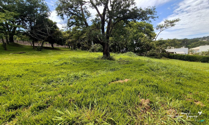 Imagem Terreno à Venda, 2.493 m² em Residencial Aldeia Do Vale - Goiânia
