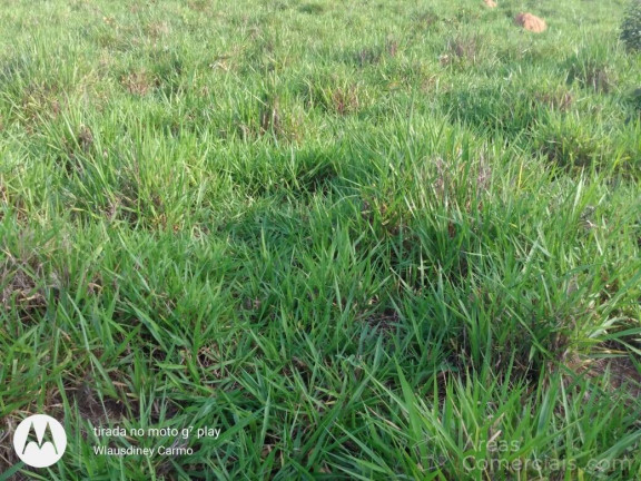 Imagem Chácara à Venda, 100 m² em Rural - Pouso Alegre Imagem Chácara à Venda, 100 m² em Rural - Pouso Alegre