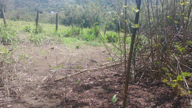 Imagem Imóvel à Venda, 3.100 m² em Guaratiba - Rio De Janeiro Imagem Imóvel à Venda, 3.100 m² em Guaratiba - Rio De Janeiro