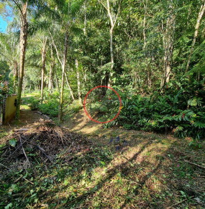 Imagem Terreno à Venda, 400 m² em Boiçucanga - São Sebastião Imagem Terreno à Venda, 400 m² em Boiçucanga - São Sebastião