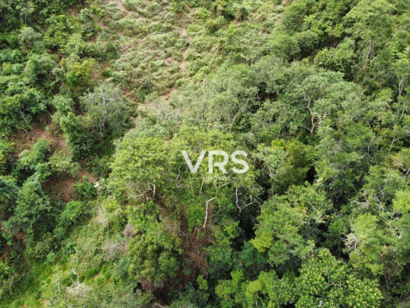 Imagem Fazenda à Venda, 435.000 m² em Andradas - Teresópolis Imagem Fazenda à Venda, 435.000 m² em Andradas - Teresópolis