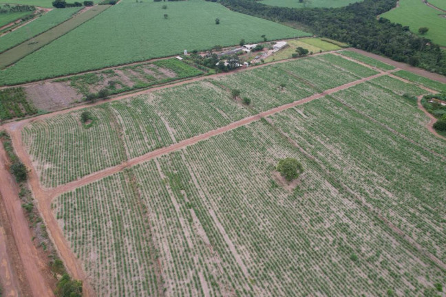 Imagem Chácara à Venda, 3 m² em Zona Rural - Batatais Imagem Chácara à Venda, 3 m² em Zona Rural - Batatais