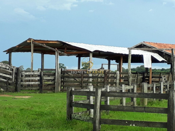 Imagem Imóvel com 3 Quartos à Venda, 88.000 m² em Zona Rural - Poconé Imagem Imóvel com 3 Quartos à Venda, 88.000 m² em Zona Rural - Poconé