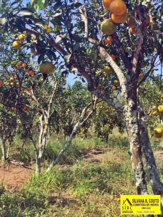 Imagem Chácara com 4 Quartos à Venda, 45 m² em Picos - Itaboraí