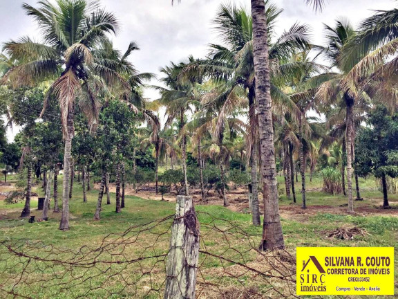 Imagem Chácara com 4 Quartos à Venda, 45 m² em Picos - Itaboraí