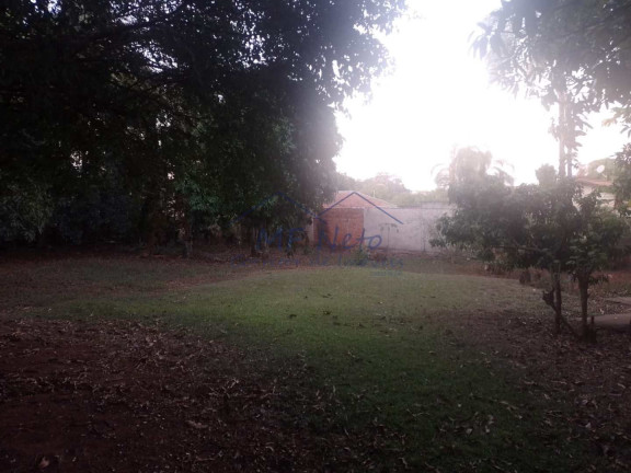 Imagem Casa com 3 Quartos à Venda, 1.065 m² em Vila São Guido - Pirassununga Imagem Casa com 3 Quartos à Venda, 1.065 m² em Vila São Guido - Pirassununga