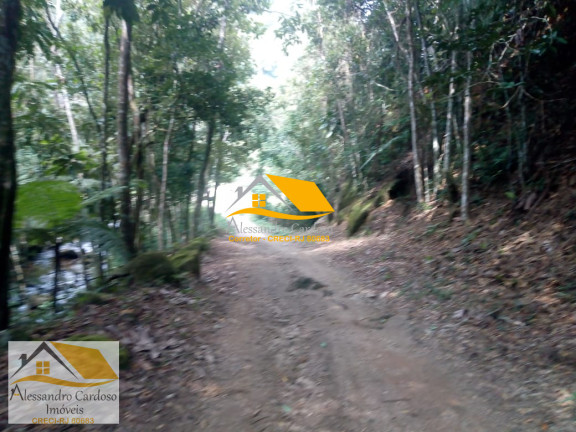Imagem Terreno à Venda, 20.000 m² em Lumiar - Nova Friburgo Imagem Terreno à Venda, 20.000 m² em Lumiar - Nova Friburgo