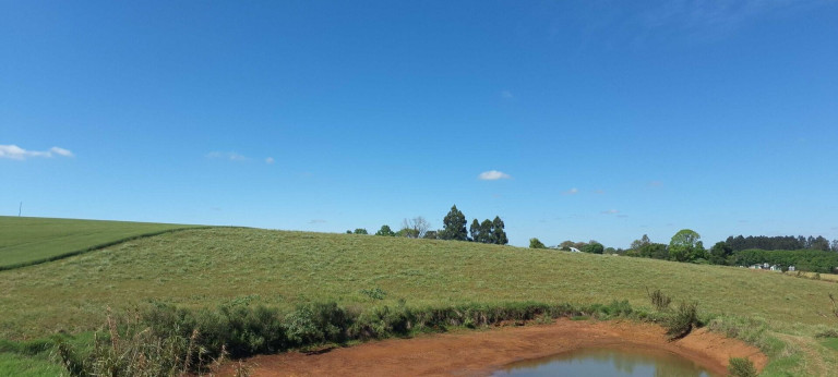 Imagem Imóvel à Venda, 70.000 m² em Centro - Selbach