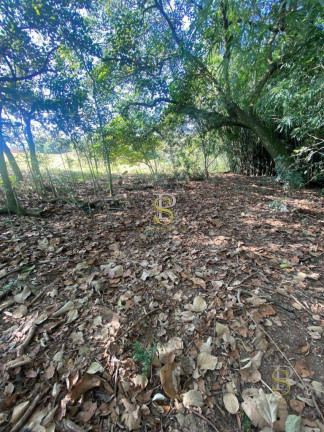 Imagem Imóvel à Venda, 20.390 m² em Bairro Canedos - Piracaia Imagem Imóvel à Venda, 20.390 m² em Bairro Canedos - Piracaia