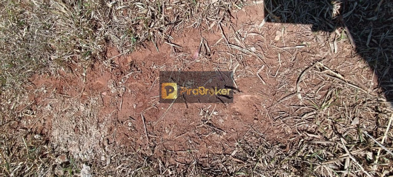 Imagem Imóvel com 3 Quartos à Venda, 532.400 m² em Itaqueri Da Serra - Itirapina