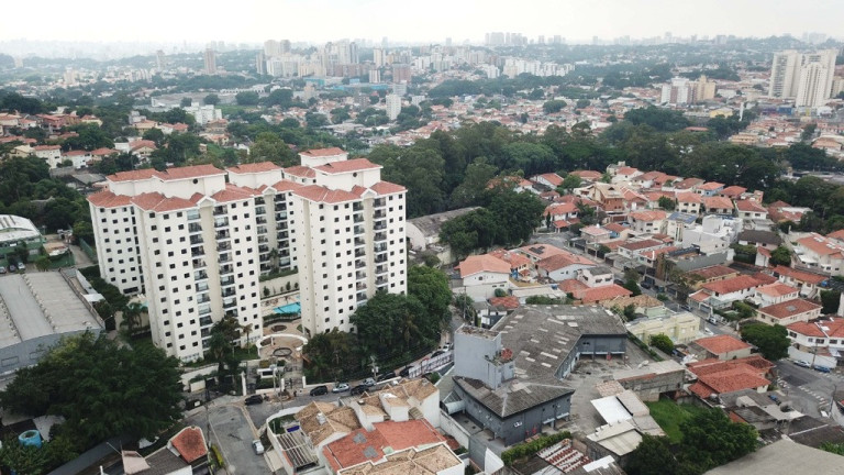 Imagem Apartamento com 3 Quartos à Venda, 75 m² em Jardim Peri Peri - São Paulo Imagem Apartamento com 3 Quartos à Venda, 75 m² em Jardim Peri Peri - São Paulo