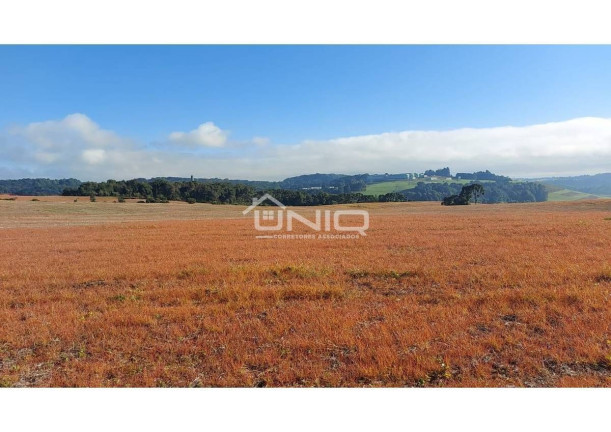 Imagem Fazenda à Venda, em Palmas Imagem Fazenda à Venda, em Palmas