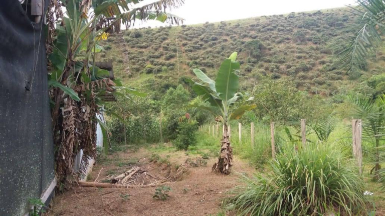 Imagem Chácara com 3 Quartos à Venda, 1.040 m² em Buquirinha - São José Dos Campos Imagem Chácara com 3 Quartos à Venda, 1.040 m² em Buquirinha - São José Dos Campos