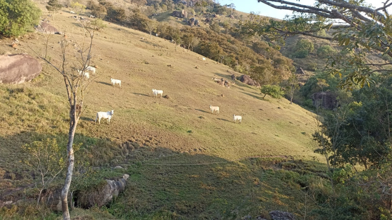 Imagem Chácara com 1 Quarto à Venda, 100 m² em Varjao - Paraibuna Imagem Chácara com 1 Quarto à Venda, 100 m² em Varjao - Paraibuna
