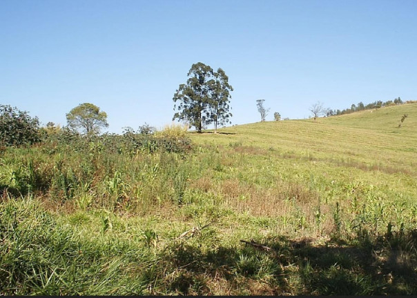 Imagem Fazenda à Venda, 250.000 m² em Guacuri - Itupeva Imagem Fazenda à Venda, 250.000 m² em Guacuri - Itupeva